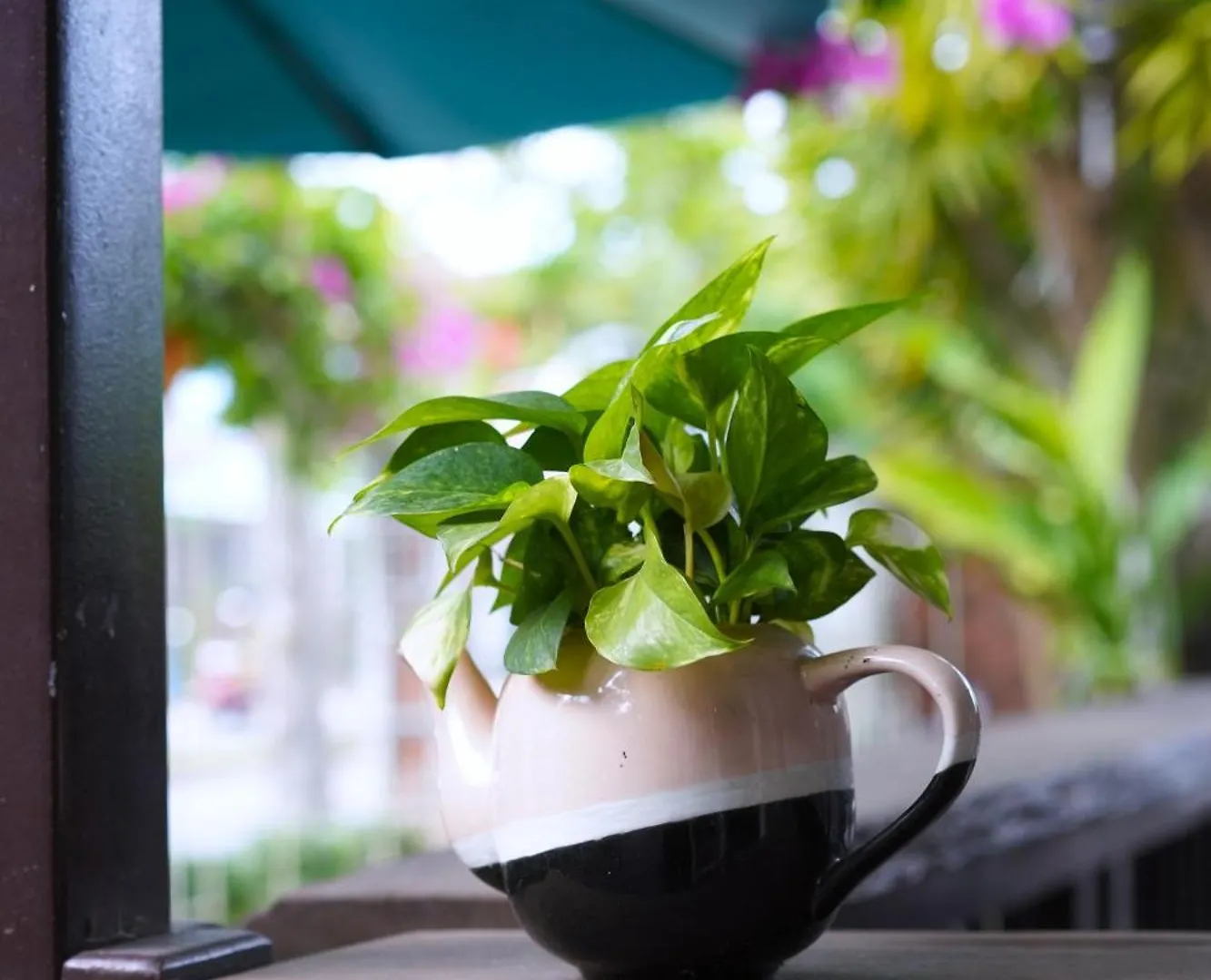 Feriested Ancient Garden Boutique Hoi An Hotel